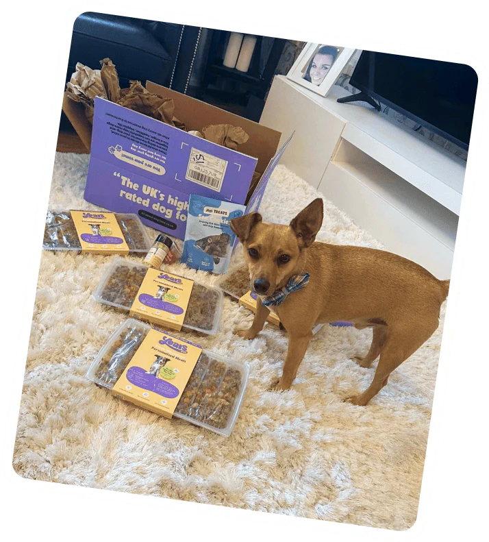 Welcome to Our Store